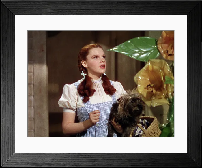 Framed Print : THE WIZARD OF OZ, Judy Garland, 1939 Framed Print : THE WIZARD OF OZ, Judy Garland, 1939