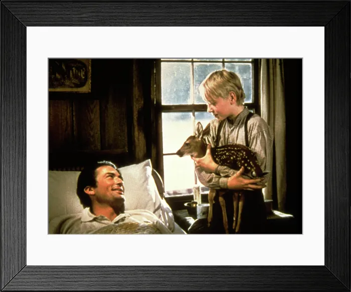 Framed Print : THE YEARLING, Gregory Peck, Claude Jarman Jr. 1946 Framed Print : THE YEARLING, Gregory Peck, Claude Jarman Jr. 1946