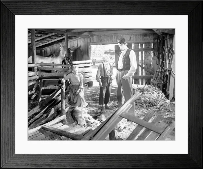Framed Print : THE YEARLING, Jane Wyman, Claude Jarman Jr. Gregory Peck, 1946 Framed Print : THE YEARLING, Jane Wyman, Claude Jarman Jr. Gregory Peck, 1946