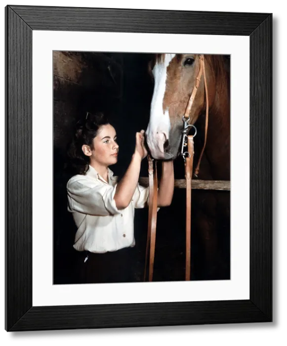 Framed Print : NATIONAL VELVET, Elizabeth Taylor, 1944