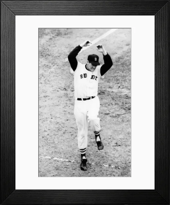 Framed Print : Ted Williams of the Boston Red Sox, reacting in horror as his bat strikes a female spectator in the stands