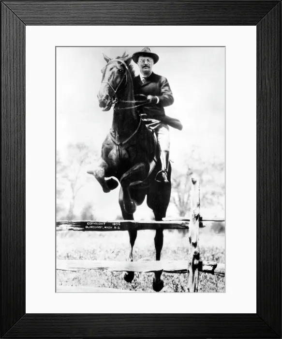 Framed Print : Theodore Roosevelt, (1858-1919), U.S. President 1901-1909, c. 1900's.. Courtesy: CSU Archives  /  Everett Collection
