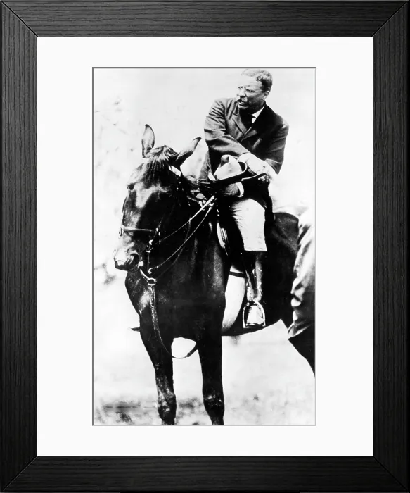 Framed Print : Theodore Roosevelt, (1858-1919), U.S. President 1901-1909, c. 1900's.. Courtesy: CSU Archives / Everett Collection Framed Print : Theodore Roosevelt, (1858-1919), U.S. President 1901-1909, c. 1900's.. Courtesy: CSU Archives / Everett Collection