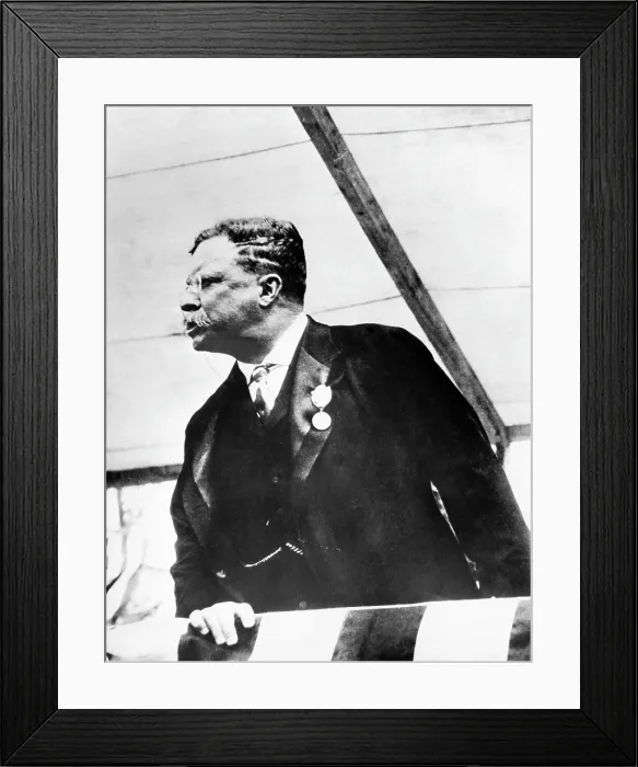 Framed Print : Theodore Roosevelt, (1858-1919), U.S. President 1901-1909, c. 1900's.. Courtesy: CSU Archives  /  Everett Collection