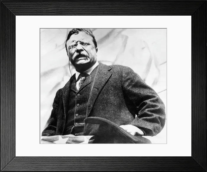 Framed Print : Theodore Roosevelt, (1858-1919), U.S. President 1901-1909, delivering a campaign speech, c. 1900's.. Courtesy: CSU Archives / Everett Collection Framed Print : Theodore Roosevelt, (1858-1919), U.S. President 1901-1909, delivering a campaign speech, c. 1900's.. Courtesy: CSU Archives / Everett Collection