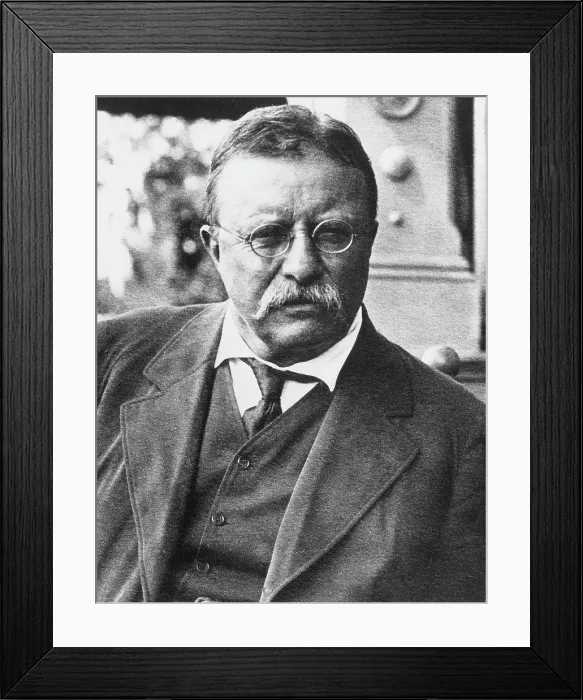 Framed Print : Theodore Roosevelt, (1858-1919), U.S. President 1901-1909, circa 1900's. Courtesy: CSU Archives / Everett Collection