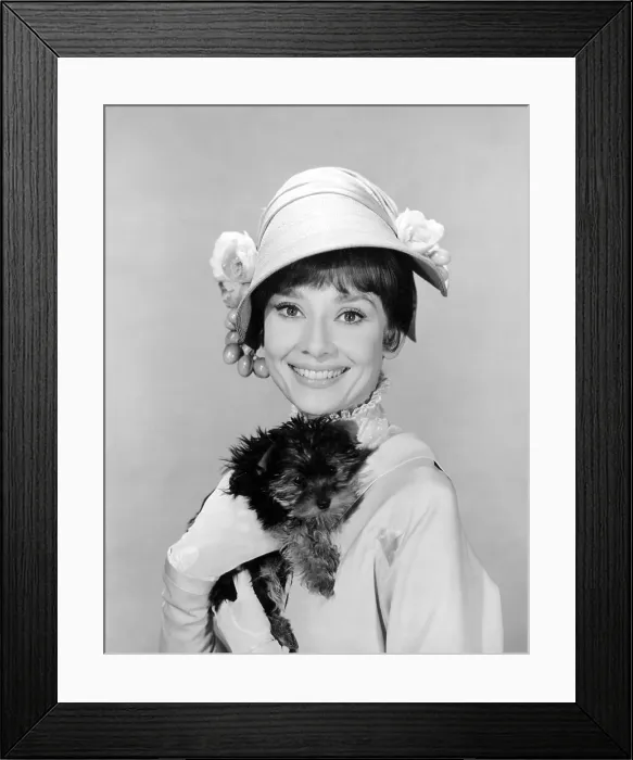 Framed Print : MY FAIR LADY, Audrey Hepburn, 1964 Framed Print : MY FAIR LADY, Audrey Hepburn, 1964