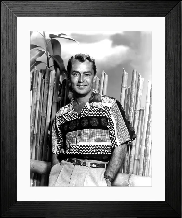 Framed Print : ALAN LADD, portrait