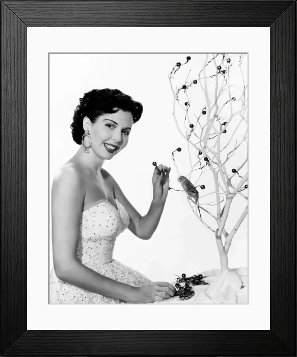 Framed Print : Ann Miller, decorating her Christmas tree, ca. early 1950s