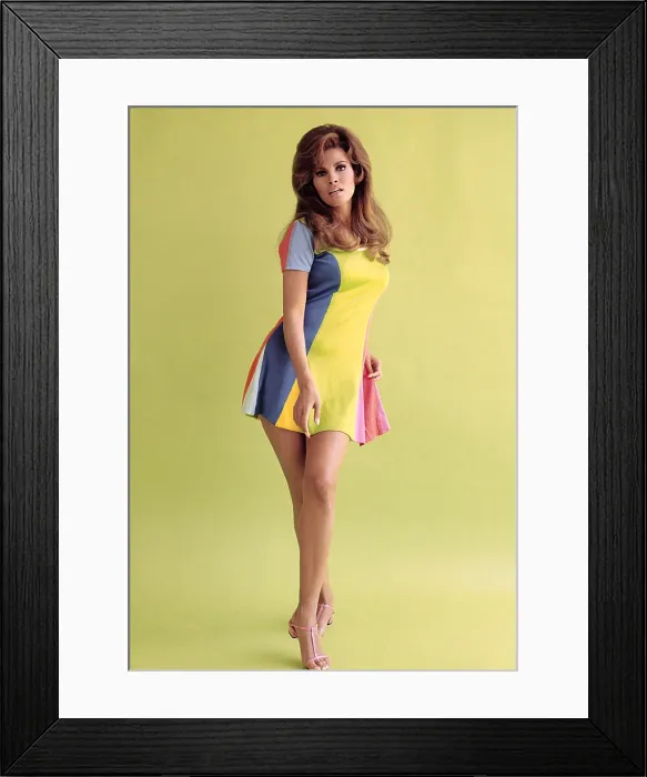 Framed Print : Raquel Welch, 1960s