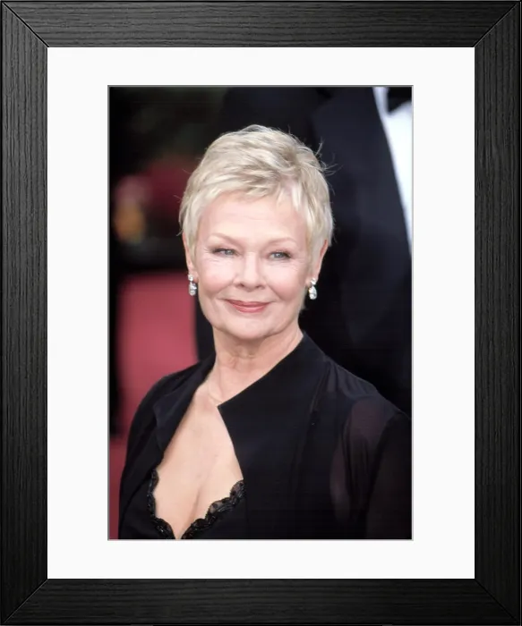 Framed Print : Judi Dench at the Academy Awards, 3 / 24 / 2002, LA, CA, by Robert Hepler Framed Print : Judi Dench at the Academy Awards, 3 / 24 / 2002, LA, CA, by Robert Hepler