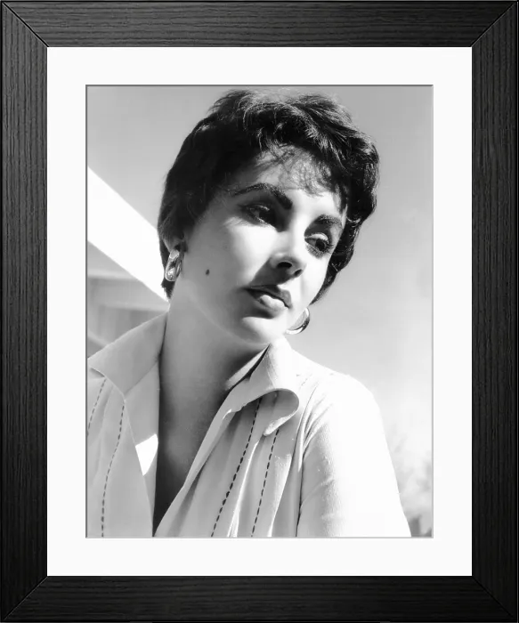 Framed Print : Elizabeth Taylor, ca. 1954 Framed Print : Elizabeth Taylor, ca. 1954