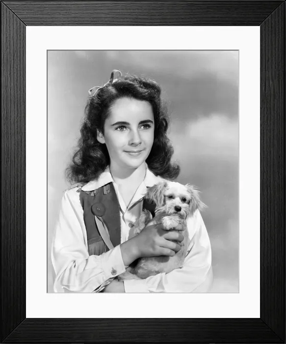 Framed Print : Elizabeth Taylor, ca. 1945