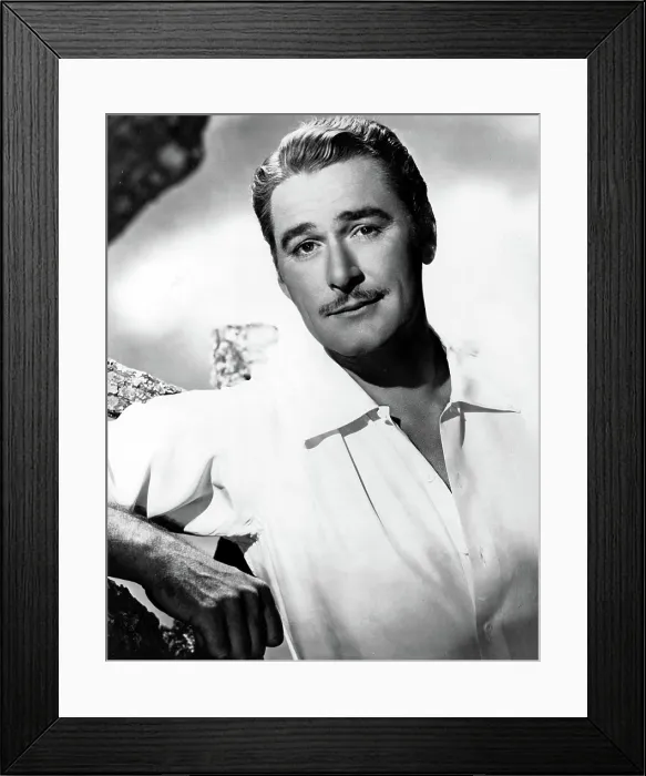 Framed Print : ERROL FLYNN, Warner Brothers, 1940s