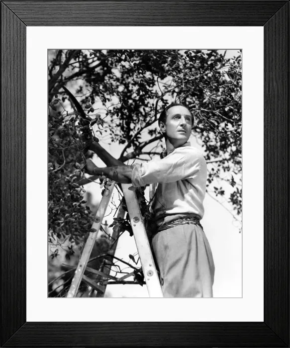Framed Print : Basil Rathbone, c. 1944 Framed Print : Basil Rathbone, c. 1944