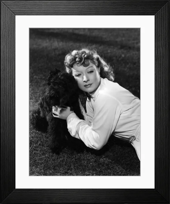 Framed Print : Greer Garson posing with French Poodle, Coco; MGM portrait by Clarence Bull, ca. 1939 Framed Print : Greer Garson posing with French Poodle, Coco; MGM portrait by Clarence Bull, ca. 1939