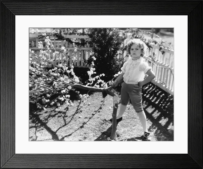 Framed Print : Shirley Temple, in George Washington mode, ca. 1935 Framed Print : Shirley Temple, in George Washington mode, ca. 1935