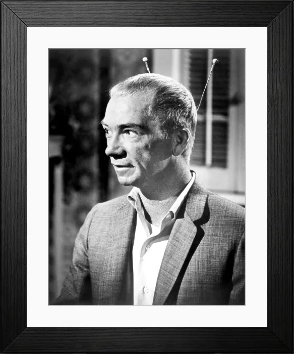Framed Print : MY FAVORITE MARTIAN, Ray Walston, 1963-1966 Framed Print : MY FAVORITE MARTIAN, Ray Walston, 1963-1966
