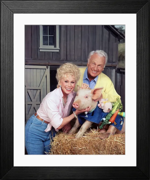 Framed Print : RETURN TO GREEN ACRES, Eva Gabor, Eddie Albert, 05 / 18 / 90, 1990