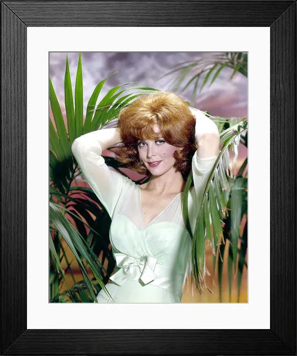 Framed Print : GILLIGAN'S ISLAND, Tina Louise, 1964-1967 Framed Print : GILLIGAN'S ISLAND, Tina Louise, 1964-1967