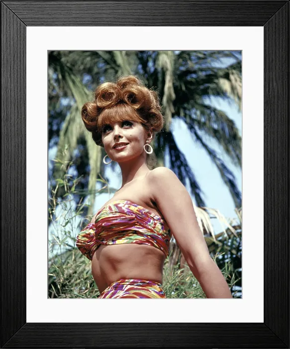 Framed Print : GILLIGAN'S ISLAND, Tina Louise, 1964-1967 Framed Print : GILLIGAN'S ISLAND, Tina Louise, 1964-1967