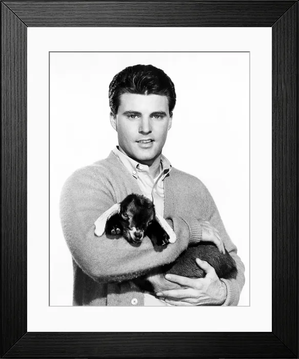Framed Print : THE ADVENTURES OF OZZIE AND HARRIET, Ricky Nelson, The Goat, (Season 11, aired Feb. 28, 1963), 1952-66