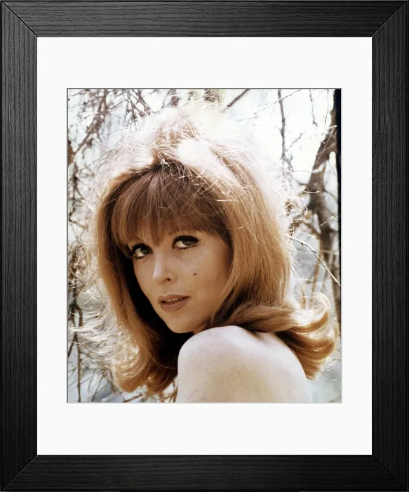 Framed Print : GILLIGAN'S ISLAND, Tina Louise, 1964-67