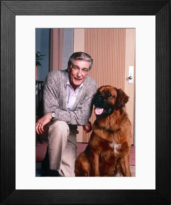 Framed Print : EMPTY NEST, from left: Richard Mulligan, Bear the Dog, 1988-1995 Framed Print : EMPTY NEST, from left: Richard Mulligan, Bear the Dog, 1988-1995