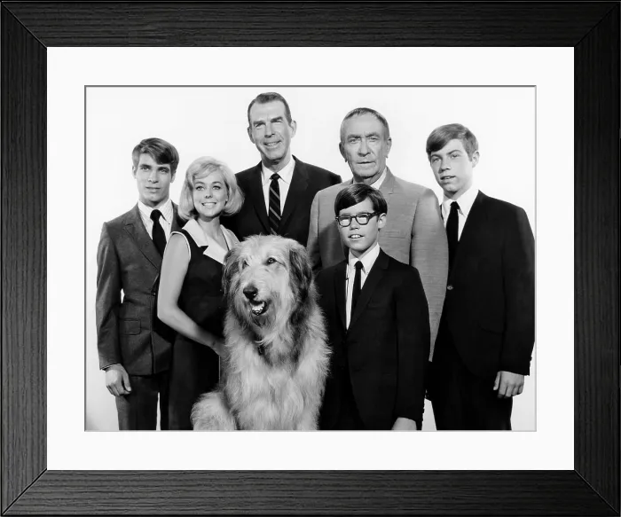 Framed Print : MY THREE SONS, (l-r): Don Grady, Tina Cole, Fred MacMurray, William Demarest, Barry Livingston, Stanley Livingston, Tramp the dog (ca. 1967), 1960-72