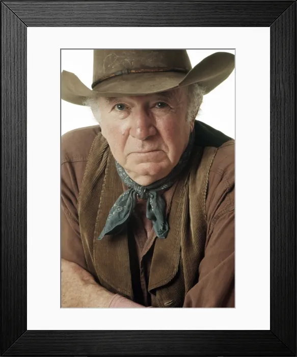 Framed Print : THE GUNS OF WILL SONNETT, Walter Brennan, 1967-1969 Framed Print : THE GUNS OF WILL SONNETT, Walter Brennan, 1967-1969
