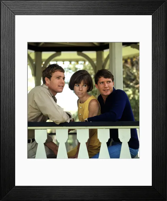 Framed Print : PEYTON PLACE, Ryan O'Neal, Pat Morrow, Chris Connelly, 1964-1969 Framed Print : PEYTON PLACE, Ryan O'Neal, Pat Morrow, Chris Connelly, 1964-1969