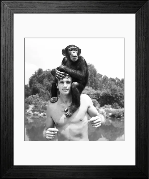 Framed Print : TARZAN, Ron Ely (with Cheetah the chimpanzee), 1966-69
