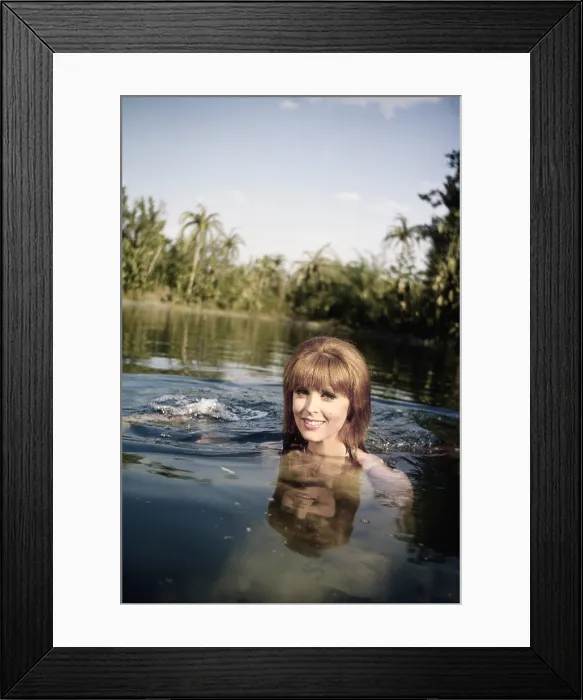 Framed Print : GILLIGAN'S ISLAND, Tina Louise, (1966), 1964-1967