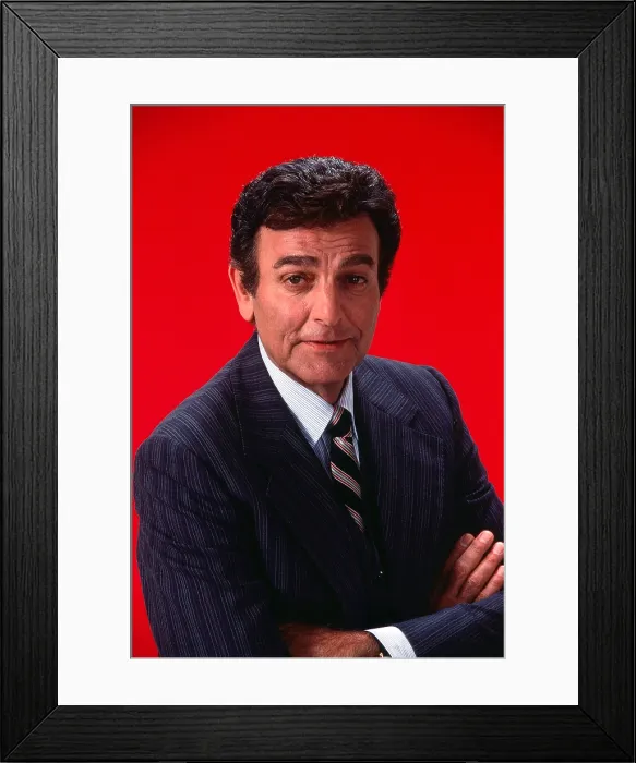 Framed Print : TODAY'S F.B.I. (aka TODAY'S FBI), Mike Connors, (1981), 1981-82 Framed Print : TODAY'S F.B.I. (aka TODAY'S FBI), Mike Connors, (1981), 1981-82