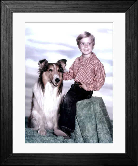 Framed Print : LASSIE, Jon Provost, with Lassie, (1959), 1954-74 Framed Print : LASSIE, Jon Provost, with Lassie, (1959), 1954-74