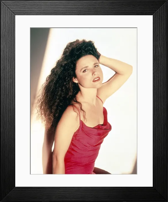 Framed Print : SEINFELD, Julia Louis-Dreyfus, (1990s), 1990-98