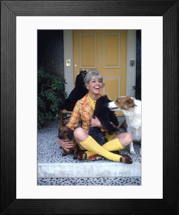 Framed Print : THE DORIS DAY SHOW, Doris Day, (1972), 1968-73