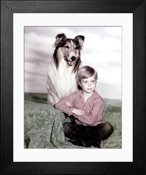Framed Print : LASSIE, Jon Provost, with Lassie, (1959), 1954-74