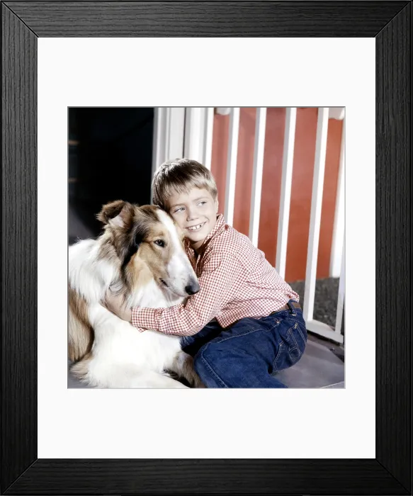 Framed Print : LASSIE, Jon Provost, with Lassie, (1959), 1954-74