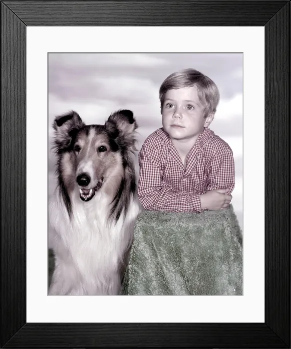 Framed Print : LASSIE, Jon Provost, with Lassie, (1959), 1954-74