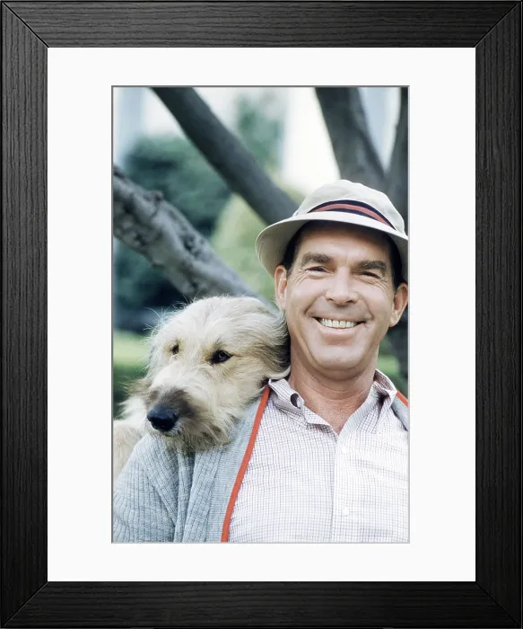Framed Print : MY THREE SONS, Fred MacMurray, with Tramp the dog, (1960), 1960-72