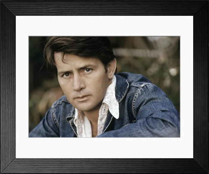 Framed Print : Martin Sheen, 1974