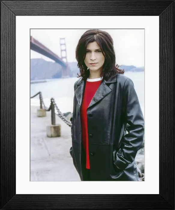 Framed Print : THE DIVISION, Nancy McKeon, 2001-2004
