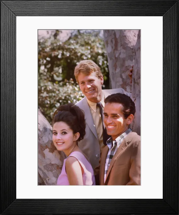 Framed Print : PEYTON PLACE, Barbara Parkins, Ryan O'Neal, James Douglas, 1964-1969 Framed Print : PEYTON PLACE, Barbara Parkins, Ryan O'Neal, James Douglas, 1964-1969