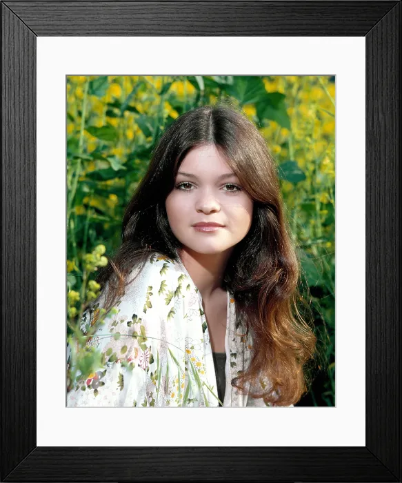 Framed Print : ONE DAY AT A TIME, Valerie Bertinelli, 2 / 9 / 79, 1975-84 Framed Print : ONE DAY AT A TIME, Valerie Bertinelli, 2 / 9 / 79, 1975-84