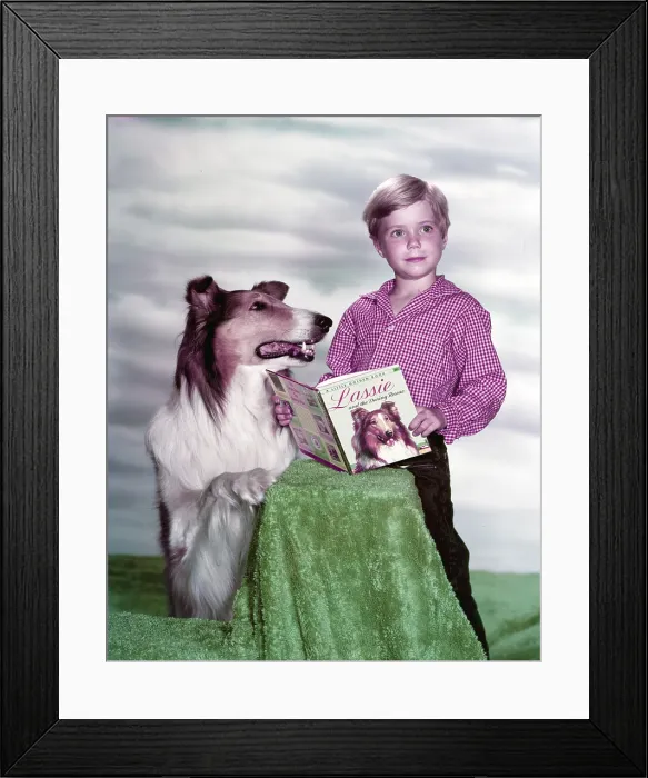 Framed Print : LASSIE, Jon Provost, with Lassie, 1954-1974