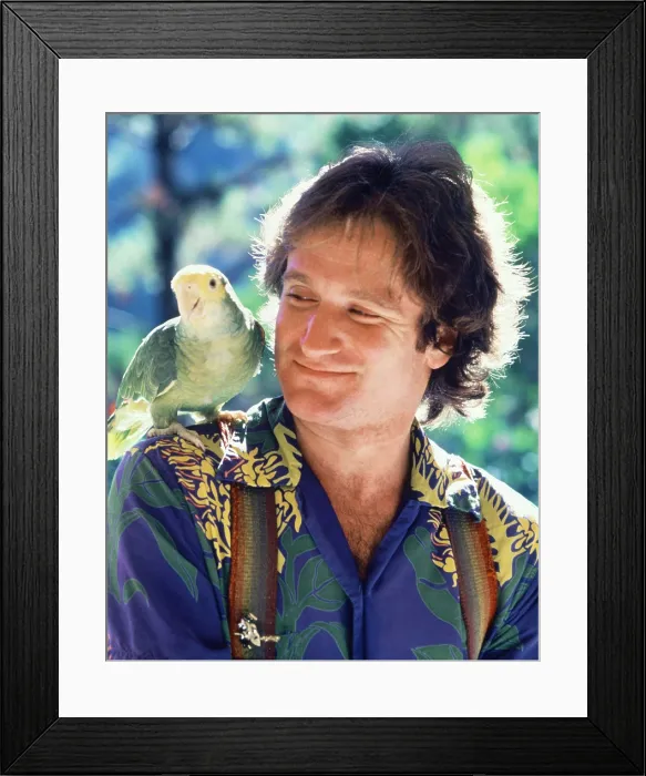 Framed Print : MORK & MINDY, Robin Williams, 1978-82