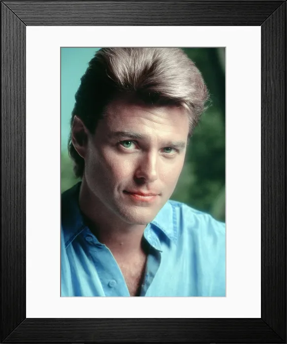 Framed Print : P.S.I. LUV U, Greg Evigan, 1991-92 Framed Print : P.S.I. LUV U, Greg Evigan, 1991-92