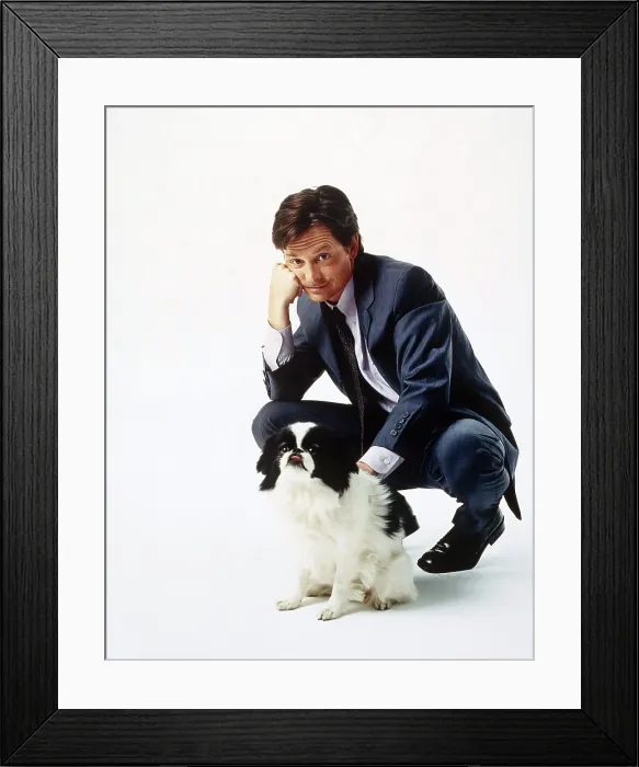 Framed Print : SPIN CITY, Michael J. Fox, (2000), 1996-2002