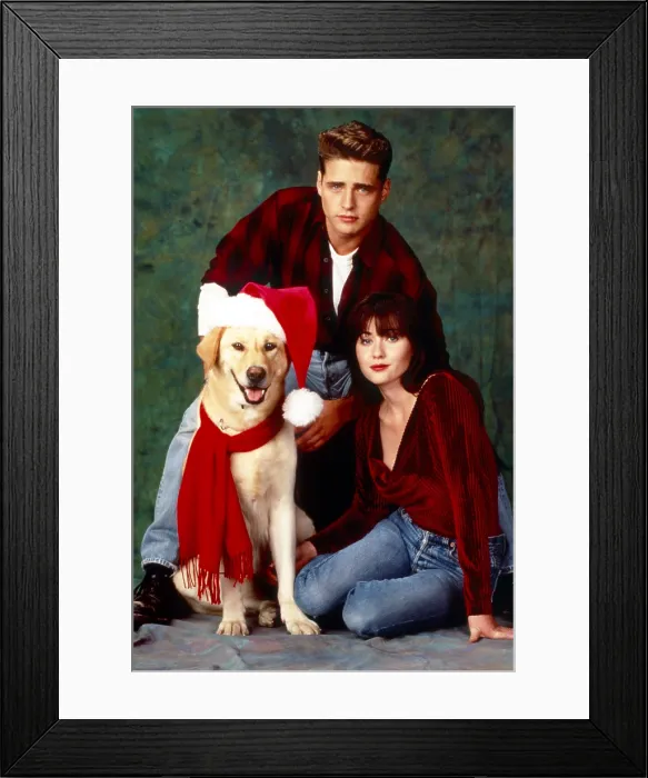 Framed Print : BEVERLY HILLS, 90210, from left: Jason Priestley, Shannen Doherty, 1992, 1990-2000 Framed Print : BEVERLY HILLS, 90210, from left: Jason Priestley, Shannen Doherty, 1992, 1990-2000